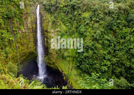 Cascate di Akaka nel parco statale di Akaka Falls sulla Big Island, Hawaii, Stati Uniti Foto Stock