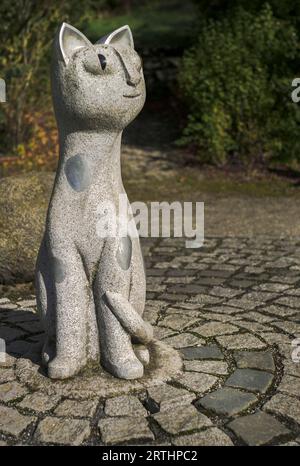 Occhio di gatto Foto Stock