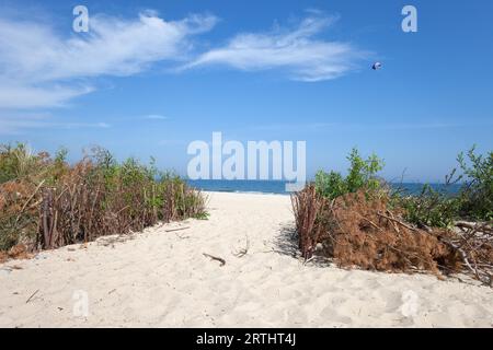 Ingresso alla spiaggia di sabbia bianca nella località turistica di Wladyslawowo in Polonia, tranquillo e sereno paesaggio del Mar Baltico, della Pomerania e della regione di Kashubia Foto Stock