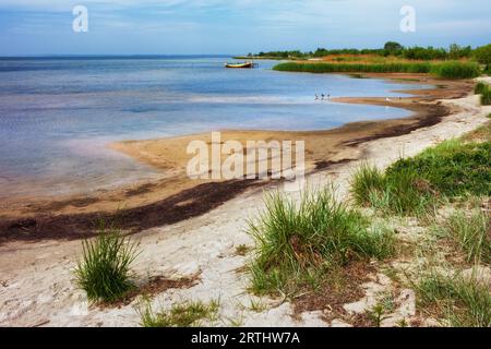 Spiaggia sabbiosa nella città di Kuznica, nella penisola di Hel, sul Mar Baltico, in Polonia Foto Stock