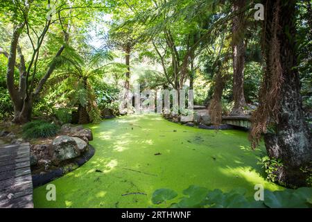 Alfred Nicholas Memorial Gardens in una calda estate#39, giorno vicino Melbourne, Victoria, Australia Foto Stock