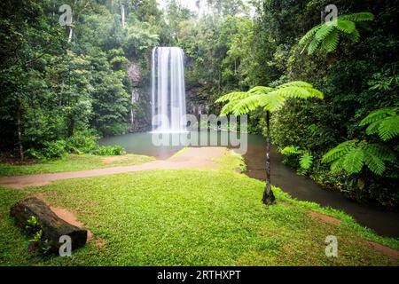 La famosa cascata Millaa Millaa nell'area di Atherton Tablelands nel Queensland, Australia Foto Stock