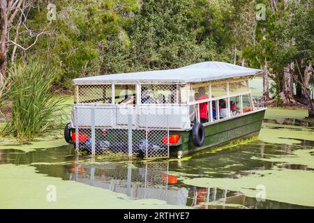 Wangetti, Australia, 30 giugno 2016: Swamp landscape at Hartley's Crocodile Adventures in Australia Foto Stock