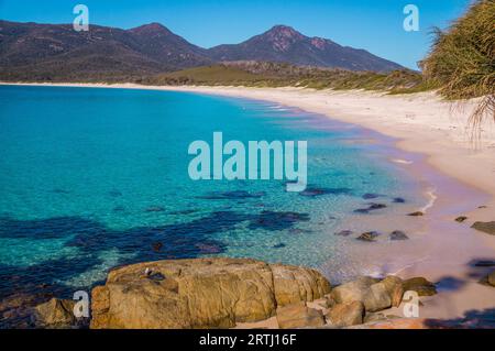 Wineglass Bay, la splendida spiaggia di Wineglass Bay sulla costa orientale della Tasmania, ha acque cristalline Foto Stock