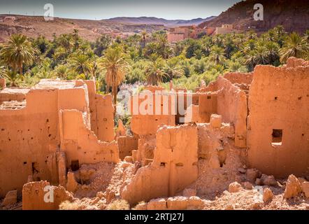 Antiche rovine abbandonate di kasbah in un'oasi di palme a Tinghir in Marocco. Le rovine di una casa in mattoni di fango sorgono lungo un'oasi verde Foto Stock