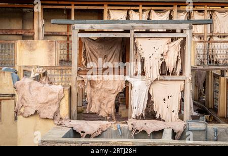 Pelli appesi ed essiccanti in conceria Chouara, FES, Marocco Foto Stock