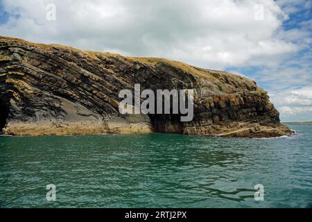 Costa, tour dei delfini, Carrigaholt, co clare, irlanda Foto Stock