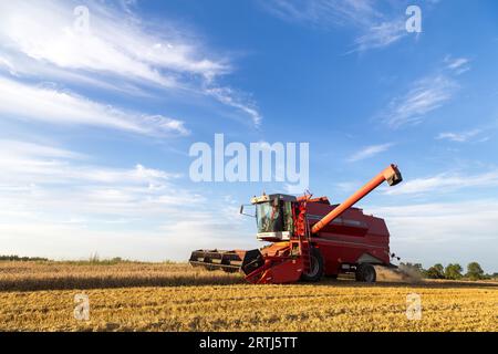 Ramlose, Danimarca, 24 agosto 2016: Una mietitrebbia al lavoro su un campo Foto Stock