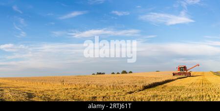 Ramlose, Danimarca, 24 agosto 2016: Vista panoramica di una mietitrebbia in funzione Foto Stock