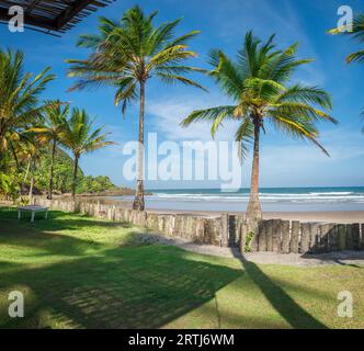 Itacare, Brasile, 7 dicembre 2016: Spettacolare e impressionante spiaggia paradisiaca nello stato di Itacare Bahia, Brasile, nord-est Foto Stock