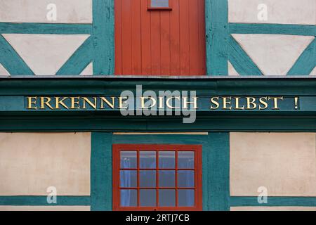 Dettaglio sulla Loggia Casa dei massoni di Hildesheim porta al Tempio della luce nell'ex Cattedrale Provostry, bassa Sassonia, Germania Foto Stock