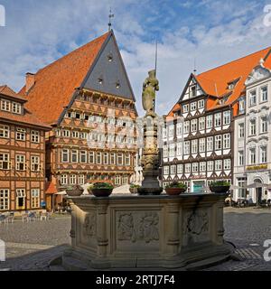 Storica piazza del mercato con fontana Rolandbrunnen, Baeckeramtshaus e Knochenhaueramtshaus, Hildesheim, bassa Sassonia, Germania Foto Stock