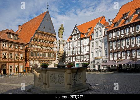 Storica piazza del mercato con fontana Rolandbrunnen, Baeckeramtshaus e Knochenhaueramtshaus, Hildesheim, bassa Sassonia, Germania Foto Stock