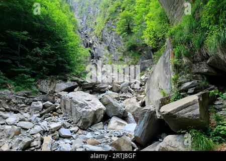 Pietre e massi ai piedi di una montagna nelle Alpi Berchtesgaden Foto Stock