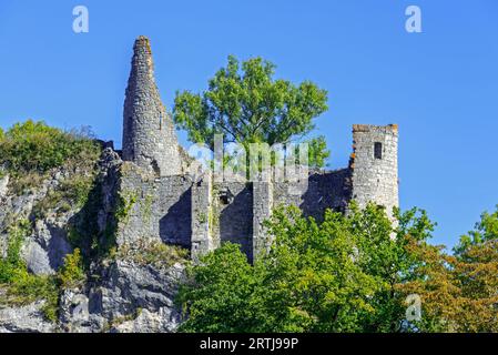 Château de Montaigle in estate, castello medievale in rovina del XIV secolo a Falaën, Onhaye, provincia di Namur, Vallonia, Ardenne belghe, Belgio Foto Stock