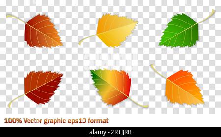 Set di foglie autunnali, colori diversi su sfondo bianco e trasparente con ombre. Concetto: Autunno, autunno. Elementi autunnali isolati per Illustrazione Vettoriale