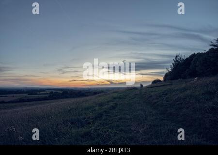 Wittenham Clumps, vicino a Didcot, Oxfordshire Foto Stock