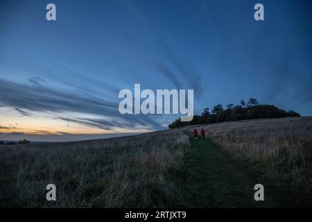 Wittenham Clumps, vicino a Didcot, Oxfordshire Foto Stock