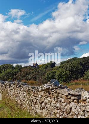 Le Torri della Scuola di Lathallan si innalzano sopra la linea degli alberi vicino al villaggio costiero di pescatori di Johnshaven sulla costa orientale della Scozia. Foto Stock