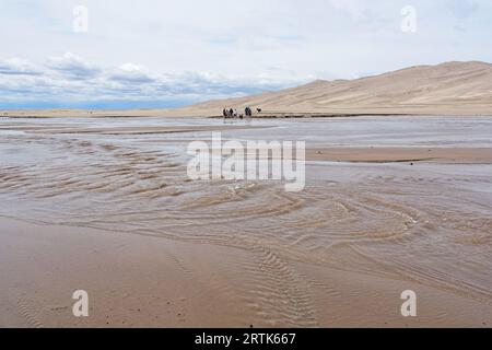 Flusso primaverile del Medano Creek ai margini delle dune di sabbia più alte del Nord America al Great Sand Dunes National Park and Preserve. Visitatori di parchi lontani. Foto Stock