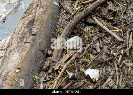 la spazzatura e la poluzione si raccolgono lungo un bacino in un fiume Foto Stock