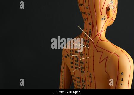 Agopuntura - medicina alternativa. Modello umano con aghi sul retro su sfondo nero, spazio per il testo Foto Stock