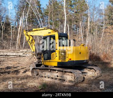 La macchina escavatrice gialla con benna da scavo e cingoli è parcheggiata vicino agli alberi alla luce del sole del pomeriggio. Foto Stock