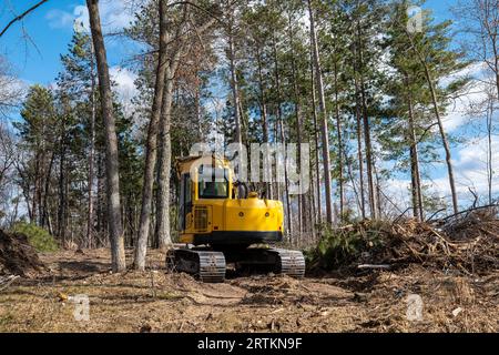 L'escavatore giallo o la macchina scavatrice, vista da dietro, sta sgomberando gli alberi in preparazione alla costruzione di una nuova casa in un cantiere. Foto Stock