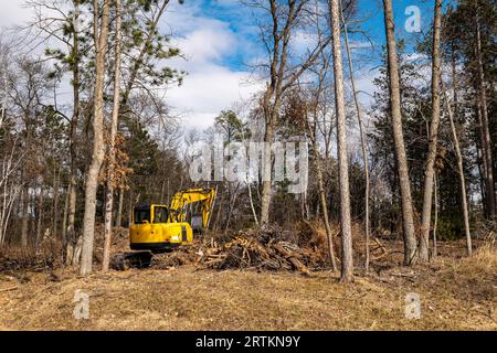 Un escavatore giallo o una macchina a scavatrice, vicino agli alberi, che rimuovono i detriti, visti da dietro, viene utilizzato per preparare un cantiere per una nuova casa su un vincolo Foto Stock