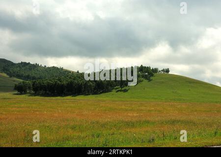 Ricoperto da una fitta foresta di conifere, i dolci pendii delle alte montagne scendono in una pittoresca valle in una soleggiata giornata estiva. Altai, Siberia, Foto Stock