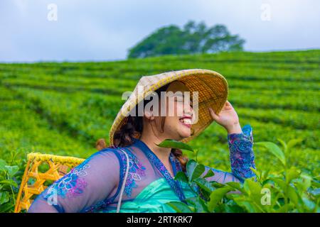 Un contadino asiatico che indossa un cappello di bambù mentre nel pomeriggio si trova nel mezzo di una piantagione di tè Foto Stock