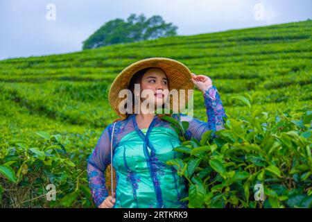 Un contadino asiatico che indossa un cappello di bambù mentre nel pomeriggio si trova nel mezzo di una piantagione di tè Foto Stock