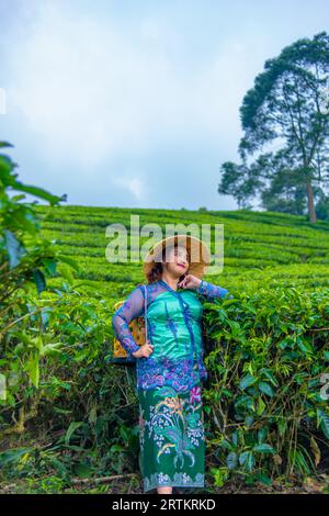 Un contadino asiatico che indossa un cappello di bambù mentre nel pomeriggio si trova nel mezzo di una piantagione di tè Foto Stock