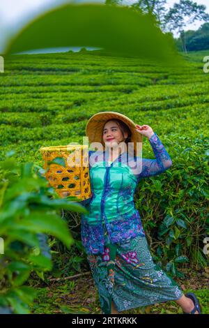 Un contadino asiatico che indossa un cappello di bambù mentre nel pomeriggio si trova nel mezzo di una piantagione di tè Foto Stock