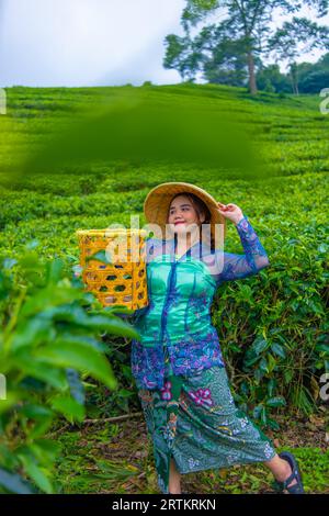 Un contadino asiatico che indossa un cappello di bambù mentre nel pomeriggio si trova nel mezzo di una piantagione di tè Foto Stock