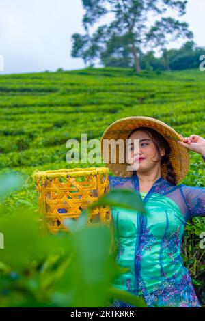 Un contadino asiatico che indossa un cappello di bambù mentre nel pomeriggio si trova nel mezzo di una piantagione di tè Foto Stock