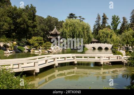 San Marino, California, USA, 11 giugno 2022: La luce del sole del pomeriggio splende sul Chinese Garden - Garden of Flowing Fragrance presso la Huntington Library. Foto Stock