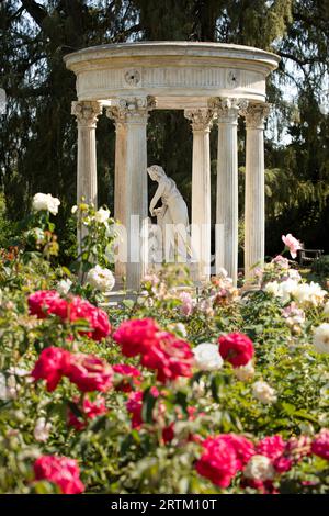 San Marino, California, USA, 11 giugno 2022: La luce del sole del pomeriggio splende sul Rose Garden presso la Huntington Library. Foto Stock