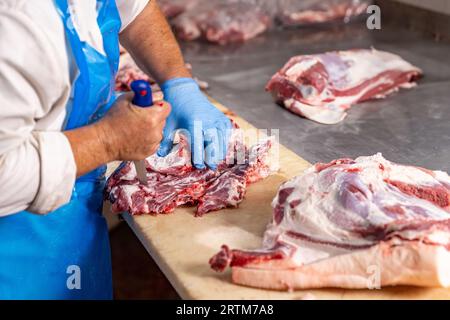 Primo piano di pezzi di carne tritati e mani maschili di macelleria che tagliano la carne fresca con il coltello. Foto Stock