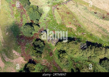 Centinaia di tronchi collocati sulla pianura alluvionale appena formata sul fiume Aller nel National Trust Holnicote Estate, Exmoor, Somerset, dove il primo tentativo su larga scala di creare un ambiente più naturale, le zone umide e il paesaggio diversificate e resilienti nel Regno Unito contribuiranno ad affrontare gli impatti dei cambiamenti climatici, come le inondazioni e la siccità. Data foto: Mercoledì 13 settembre 2023. Foto Stock