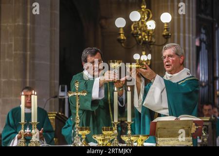 Messe d’Imposition du pallium à Mons. Laurent Ulrich, Archevêque métropolitain de Paris en l’église Saint-Germain l’Auxerrois, Parigi, Francia Foto Stock