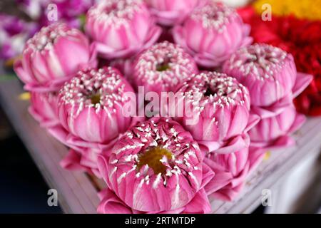 Negozio di fiori indiani al Tempio di Sri Maha Mariamman. Ghirlande di fiori usate come offerte del tempio per la cerimonia indù. Bangkok. Thailandia. Foto Stock