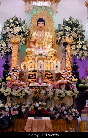 Tinh That Quan am Pagoda. Statua del Buddha di Siddhartha Gautama. Dalat. Vietnam. Foto Stock