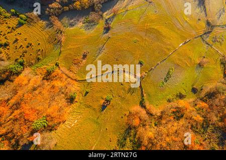 Drone's Eye View: Alberi colorati e Golden Hills in autunno Foto Stock