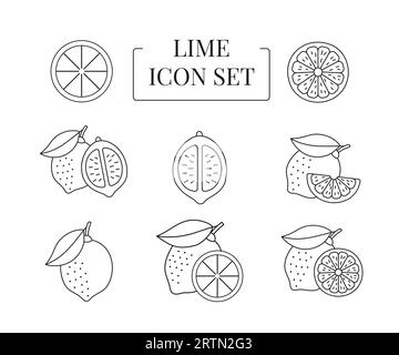 Lime intero e mezzo, tagliato a fette, serie di icone di linea in vettoriale Illustrazione Vettoriale