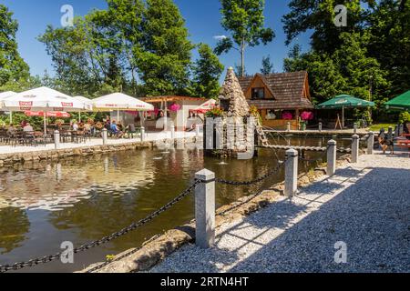 KAMIENCZYK, POLONIA - 14 LUGLIO 2020: Veduta di un vivaio di pesci e di un ristorante nel villaggio di Kamienczyk, Polonia Foto Stock