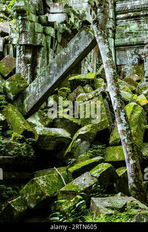 Le rovine di Beng Mealea o del tempio di Boeng Meale si trovano a circa 40 km da Angkor. In gran parte intatta è un'oasi di calma. Foto Stock