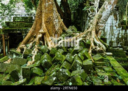 Le rovine di Beng Mealea o del tempio di Boeng Meale si trovano a circa 40 km da Angkor. In gran parte intatta è un'oasi di calma. Foto Stock