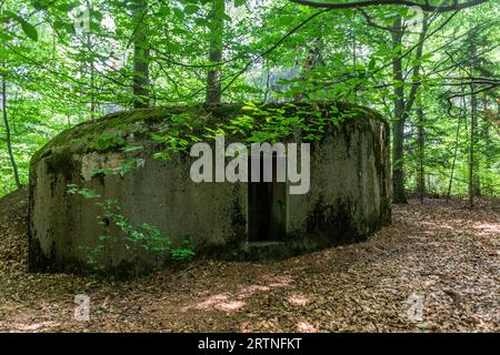 Cassone in cemento dell'era della seconda guerra mondiale nella Repubblica Ceca Foto Stock