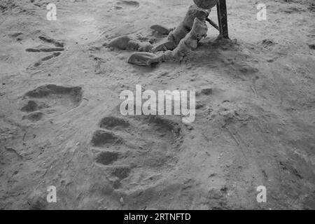 Footprint di dinosauri e piedi sullo sfondo Foto Stock
